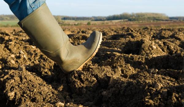 Piața uriașă din China se deschide pentru fermierii români. Ce produse vor ajunge la export