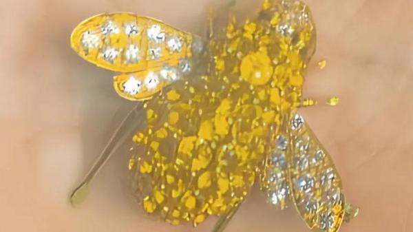 I-a fost furată o broșă de 25.000 de euro. După câțiva ani ani, a găsit-o într-un magazin de bijuterii