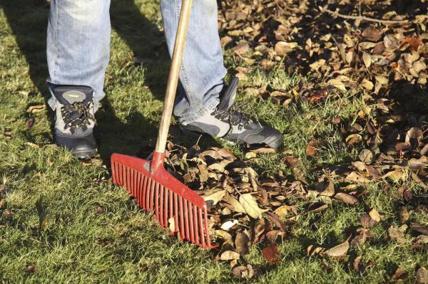 Îşi făcea curăţenie în curte, când un bărbat din Harghita a făcut o descoperire neaşteptată. A sunat la 112
