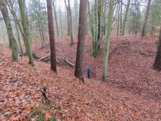 Oraș medieval pierdut, redescoperit într-o pădure: monede, unelte și arme de acum 1.000 de ani