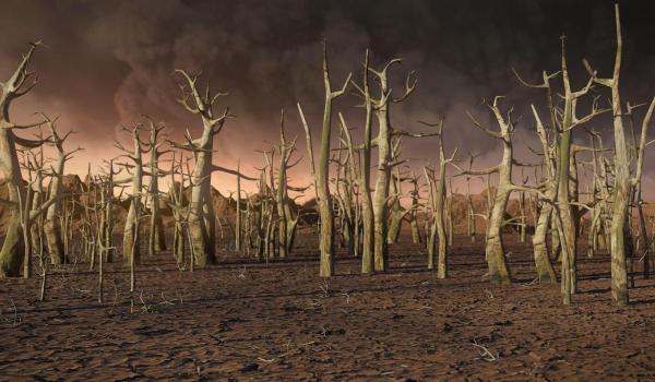 ONU: Clima Pământului este în stare de urgență. Fiecare indicator climatic cheie clipește în roșu