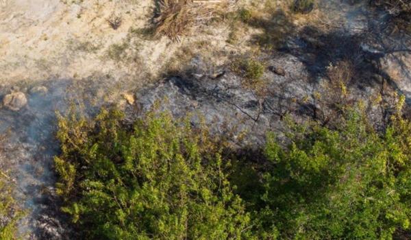 Incendiu de vegetație într-o pădure din Maramureş, în apropierea punctului turistic "Două Veverițe"