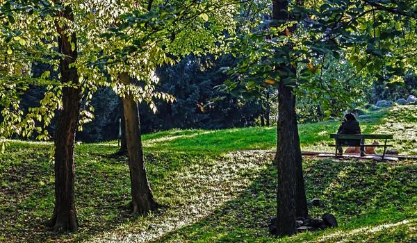 Satul cu 1.100 de locuitori unde se construiește un parc al poeților, finanțat de Ungaria cu 8 milioane €