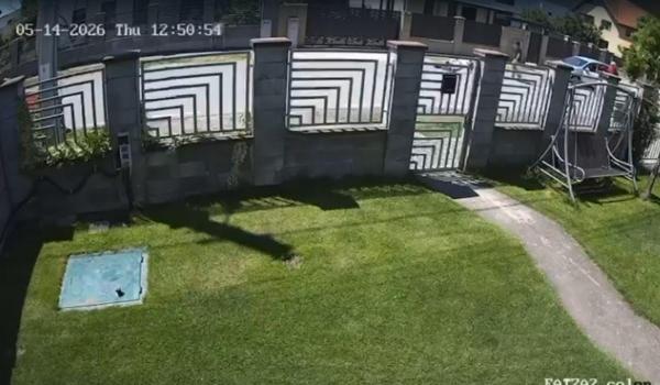 Băiatul de 14 ani din Timiş care a căzut cu trotineta este în moarte cerebrală. Mătuşa cere interzicerea lor