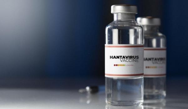 UE trimite primele doze de antiviral experimental împotriva hantavirusului în trei ţări europene