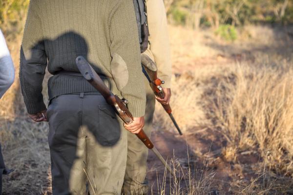 Percheziții la presupuşi braconieri în Arad: arme cu termoviziune, amortizor și carne de vânat, descoperite