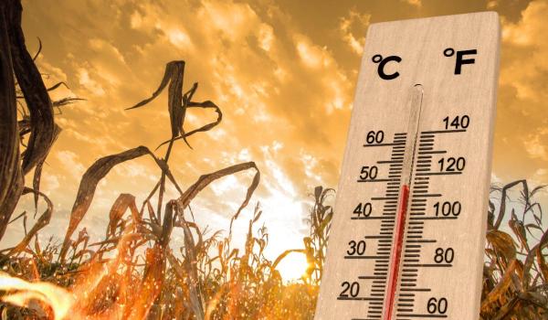 Vreme la extreme în România: Val de caniculă şi furtuni în aproape jumătate din ţară. Arşiţă, până miercuri