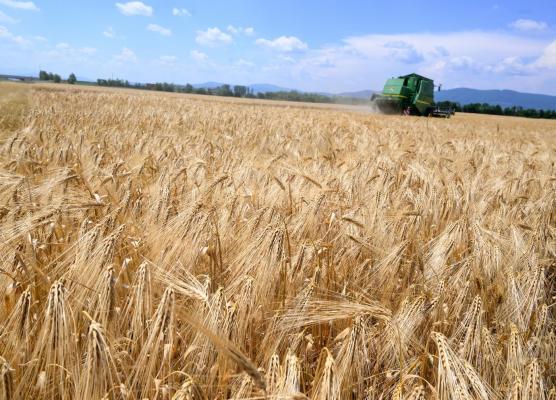 Fermierii români primesc bani de la UE până în 2027