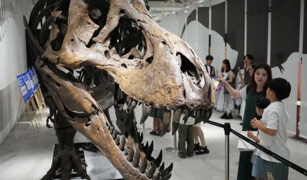 Scheletul unui T-Rex, vândut cu suma-record de 50,1 milioane de dolari. Cine este misteriosul cumpărător