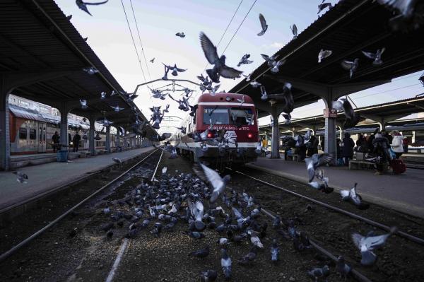 Trenul internaţional cu ruta Budapesta – București s-a oprit în câmp. Locomotiva s-a stricat în timpul cursei