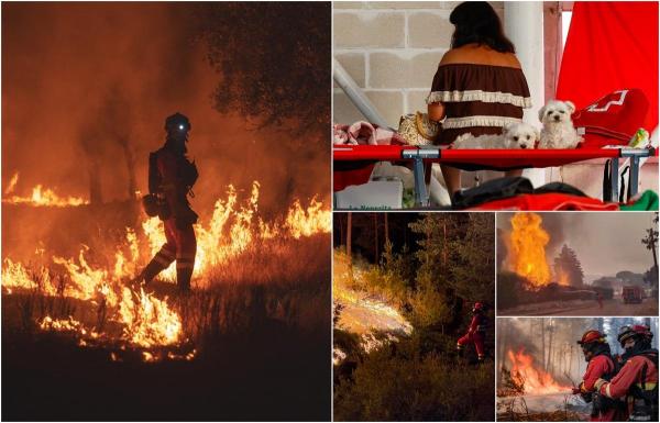 Două oraşe din Spania, în stare de urgenţă din cauza incendiilor masive de vegetaţie
