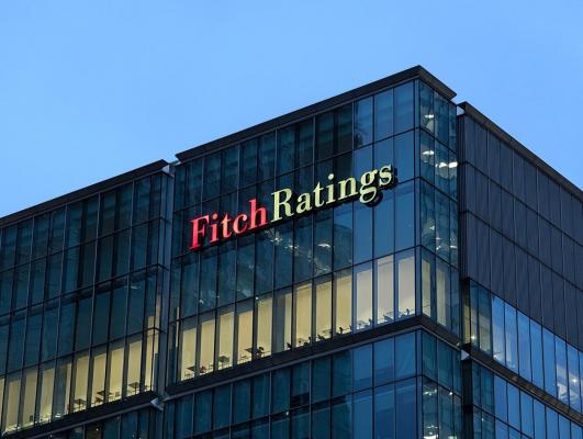 Fitch menține ratingul. România evită retrogradarea la "junk" - surse