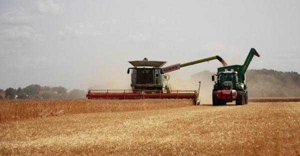 Analiză: România are recolte agricole bune, dar cu toatea acestea vom plăti mai mult pentru alimente