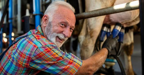 Analiză Politico: Bani europeni pentru animale "fantomă". Cum au "muls" fermierii greci fondurile UE