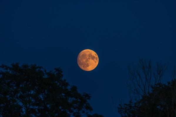 Luna Sturionului şi eclipsa de Lună pe 28 august. Ce vom vedea pe cerul nopţii
