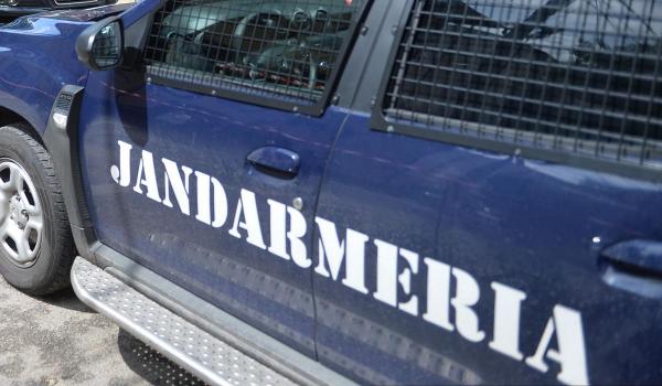 Milioane de țigări de contrabandă, ascunse printre pește congelat și pantofi, descoperite la Buzău