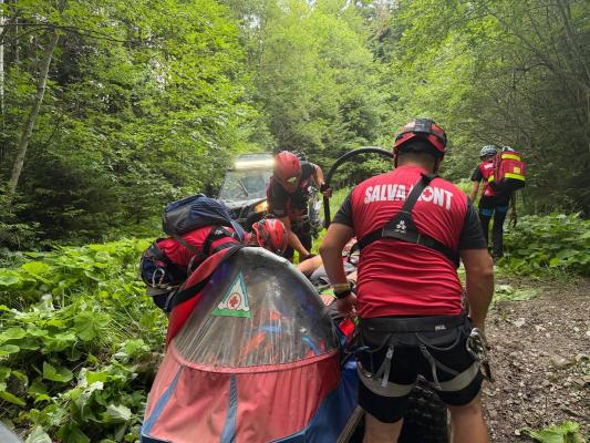 A murit la cules de afine în Munţii Grohotiș. Bărbatul a făcut infarct