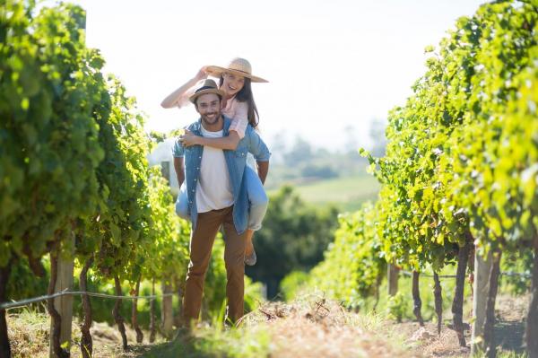 destinații pentru iubitorii de vin