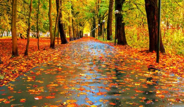 Vremea se schimbă radical după 17 septembrie. După câteva zile cu 30°C, temperaturile scad și revin ploile