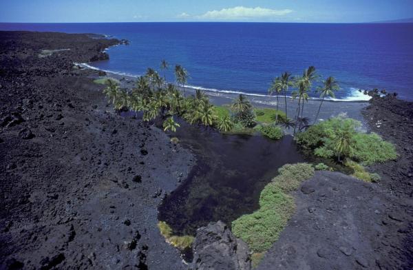 Hawaii oferă cazare gratis turiştilor cu o condiţie. Ce trebuie să faci pentru o vacanţă de vis, fără bani
