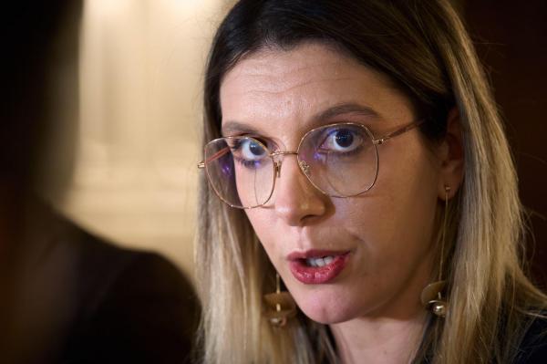 "Direcții Silvice putred de corupte". Ce spune Buzoianu că a descoperit în cazul drumului din pădurea Băneasa