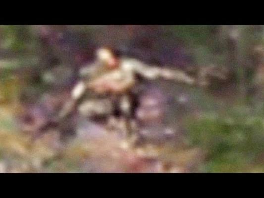 Un picnic s-a transformat într-o experienţă şocantă! Ce se afla în pădure i-a lăsat mască