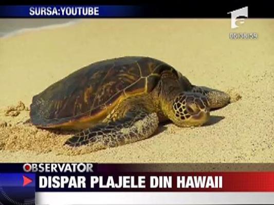 Dispar plajele din Hawaii