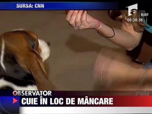 Cuie in loc de mancare