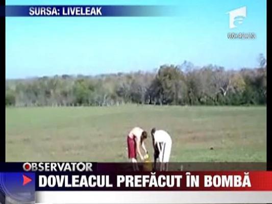 Dovleacul prefacut in bomba