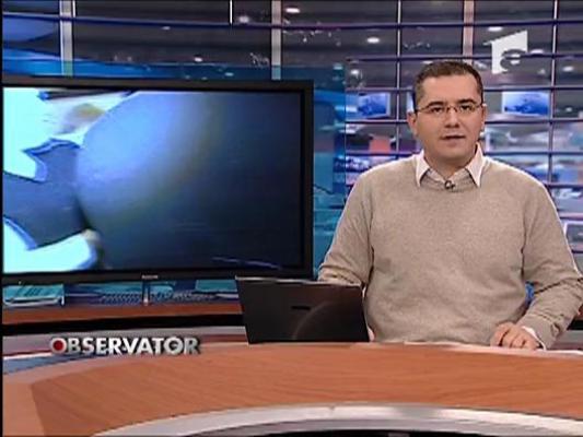 Observator de weekend