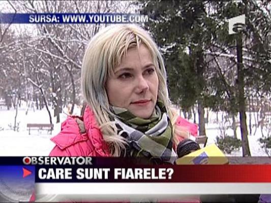 Care sunt fiarele?