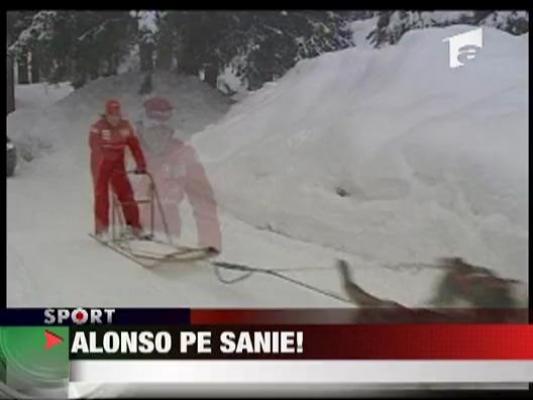 Alonso, pe sanie!