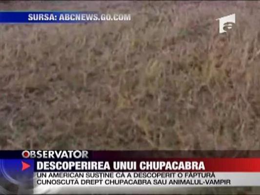 Descoperirea unui Chupacabra