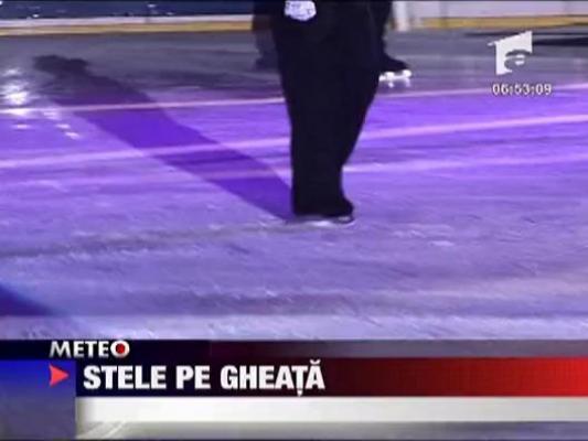 Stele pe gheata