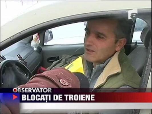 Blocati de troiene