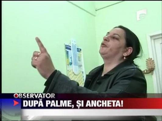 Dupa palme, si ancheta!