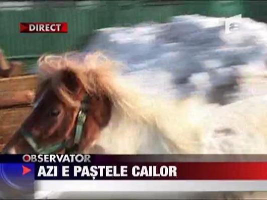 Pastele cailor in Targoviste