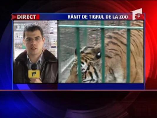 Tanarul ranit de un tigru ramane in spital