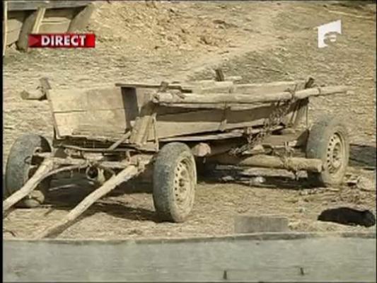 Cadouri pentru cei izolati de lume