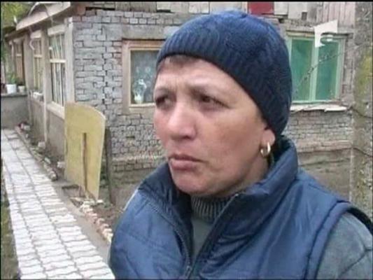 Caini ucisi fara mila