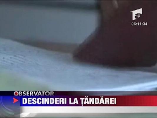 Retea anihilata la Tandarei