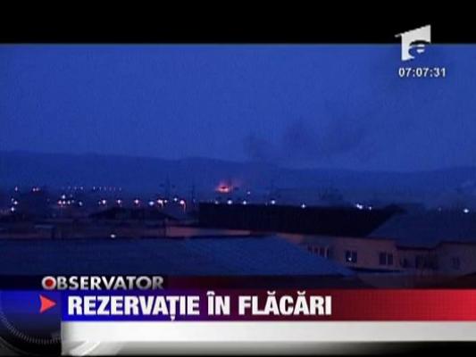 Rezervatie in flacari