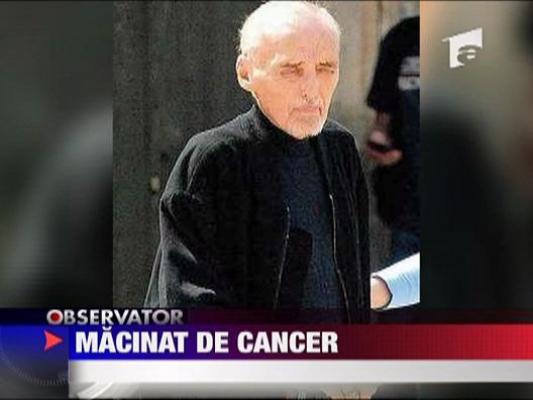 Dennis Hopper, macinat de cancer