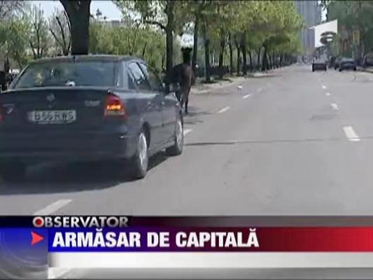 Un cal a bulversat astazi circulatia in Capitala