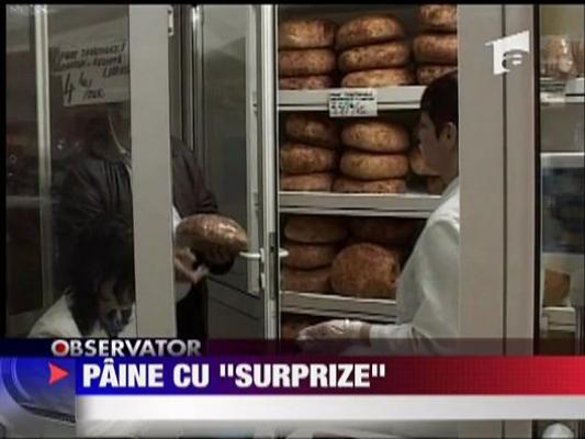 Paine cu excremente de sobolan