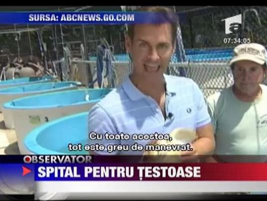 Spital pentru testoase