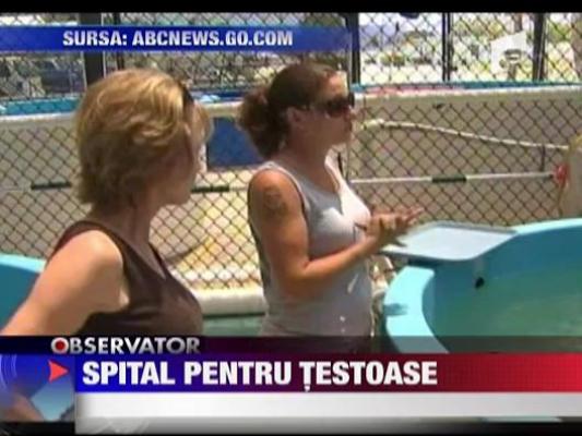 Spital pentru testoase