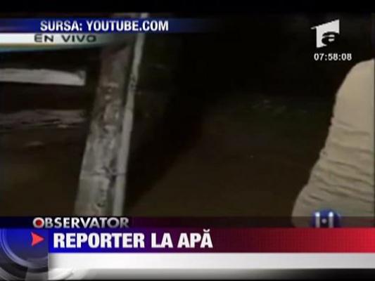 Reporter la apa