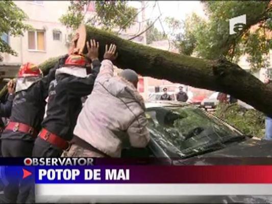 Potop in Mai