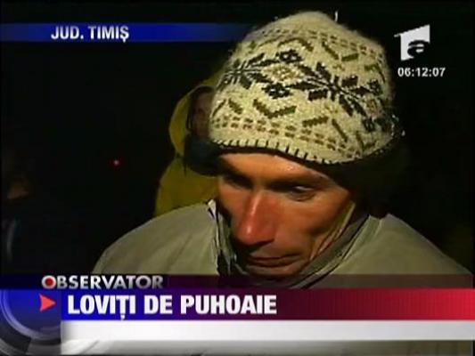 Loviti de puhoaie